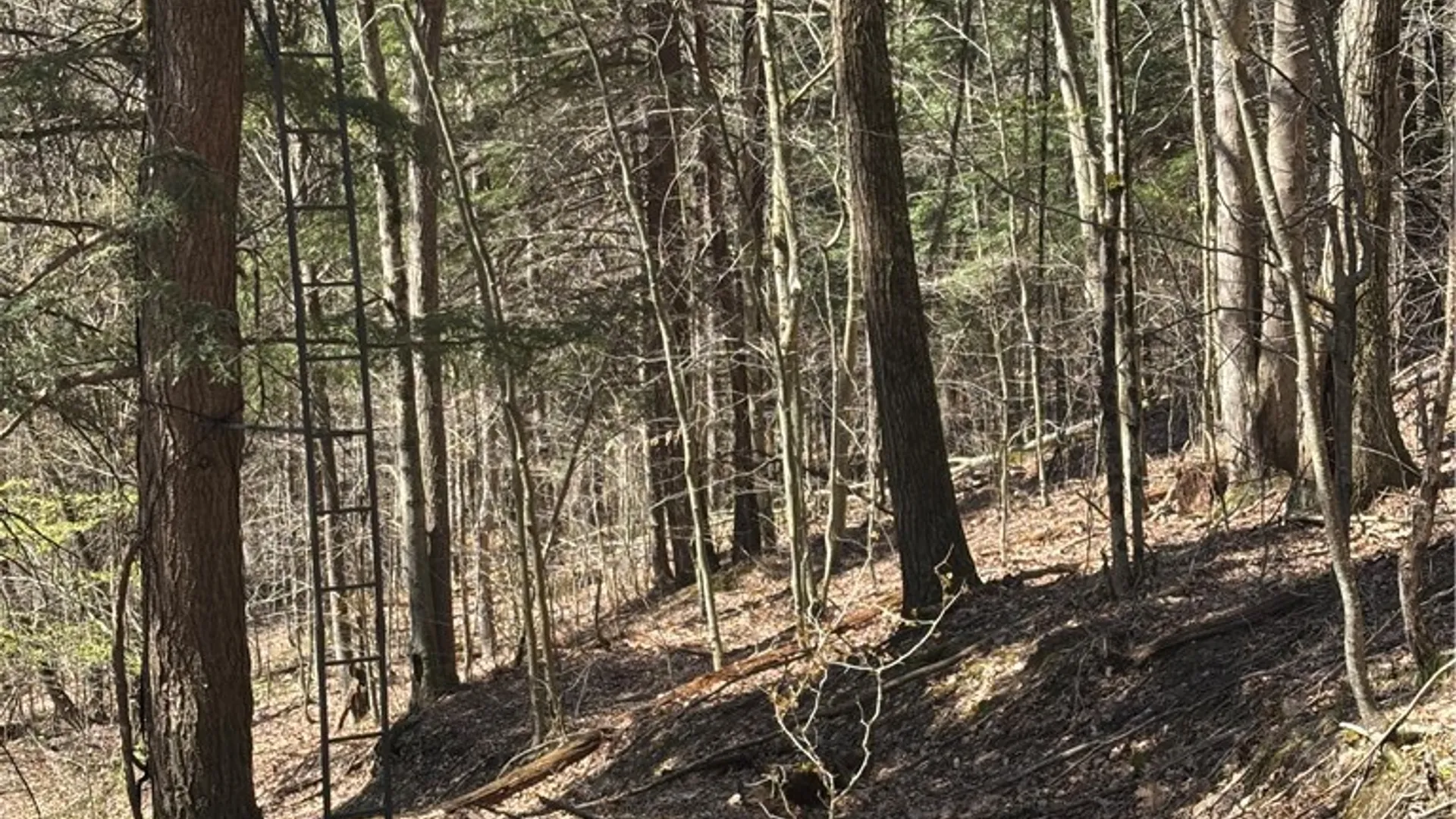 Property at 0 St. Rt. 417, Bolivar, NY 14715 13
