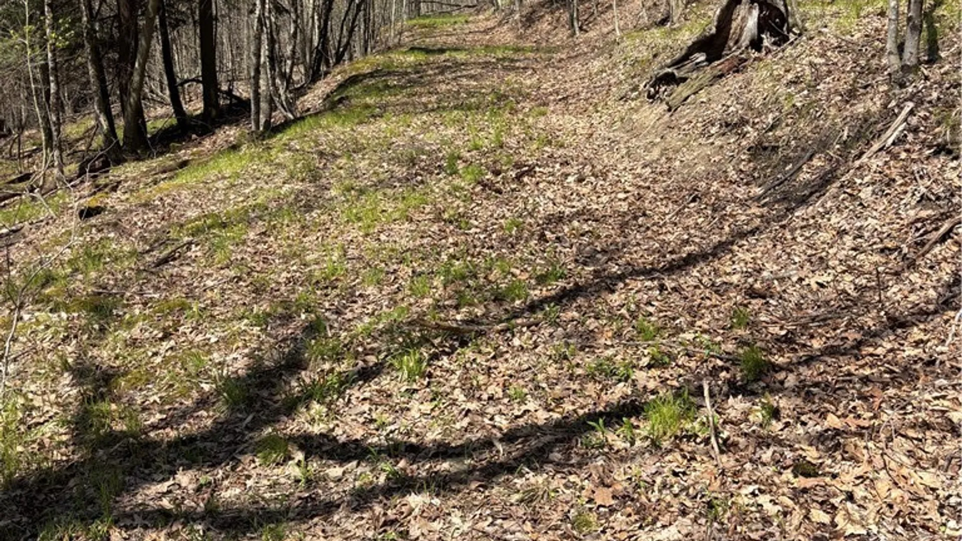 Property at 0 St. Rt. 417, Bolivar, NY 14715 14