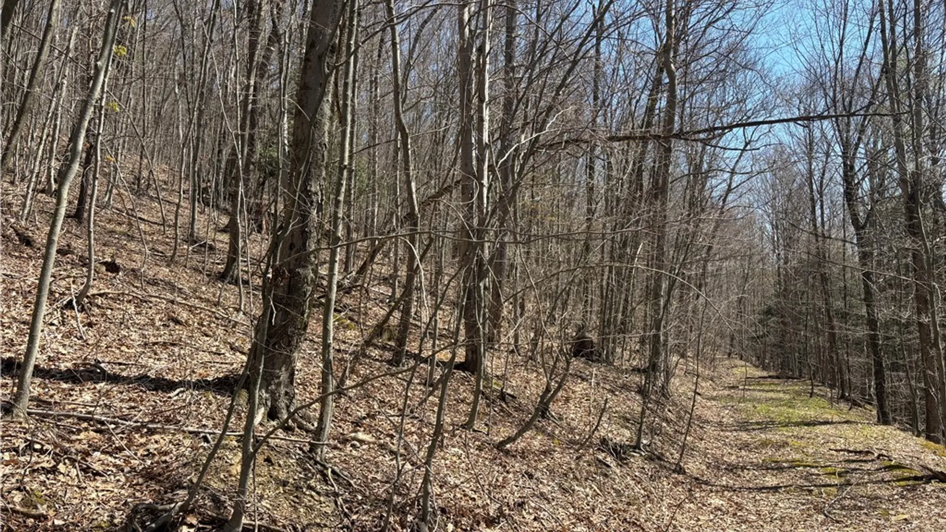 Property at 0 St. Rt. 417, Bolivar, NY 14715 17