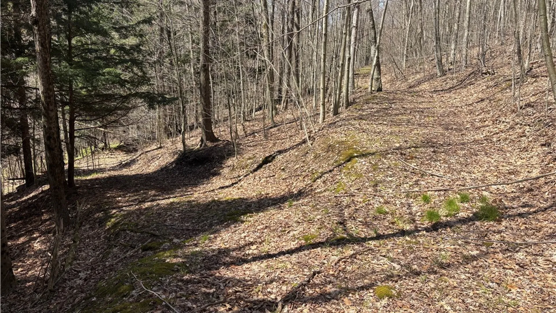 Property at 0 St. Rt. 417, Bolivar, NY 14715 18