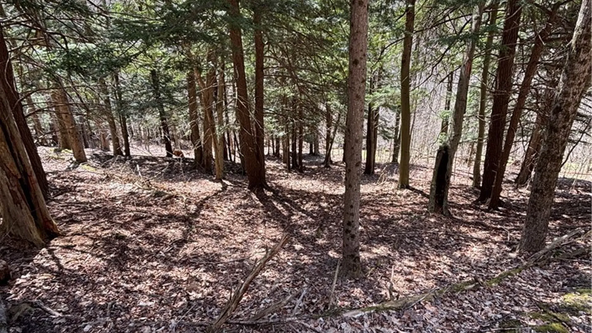 Property at 0 St. Rt. 417, Bolivar, NY 14715 19