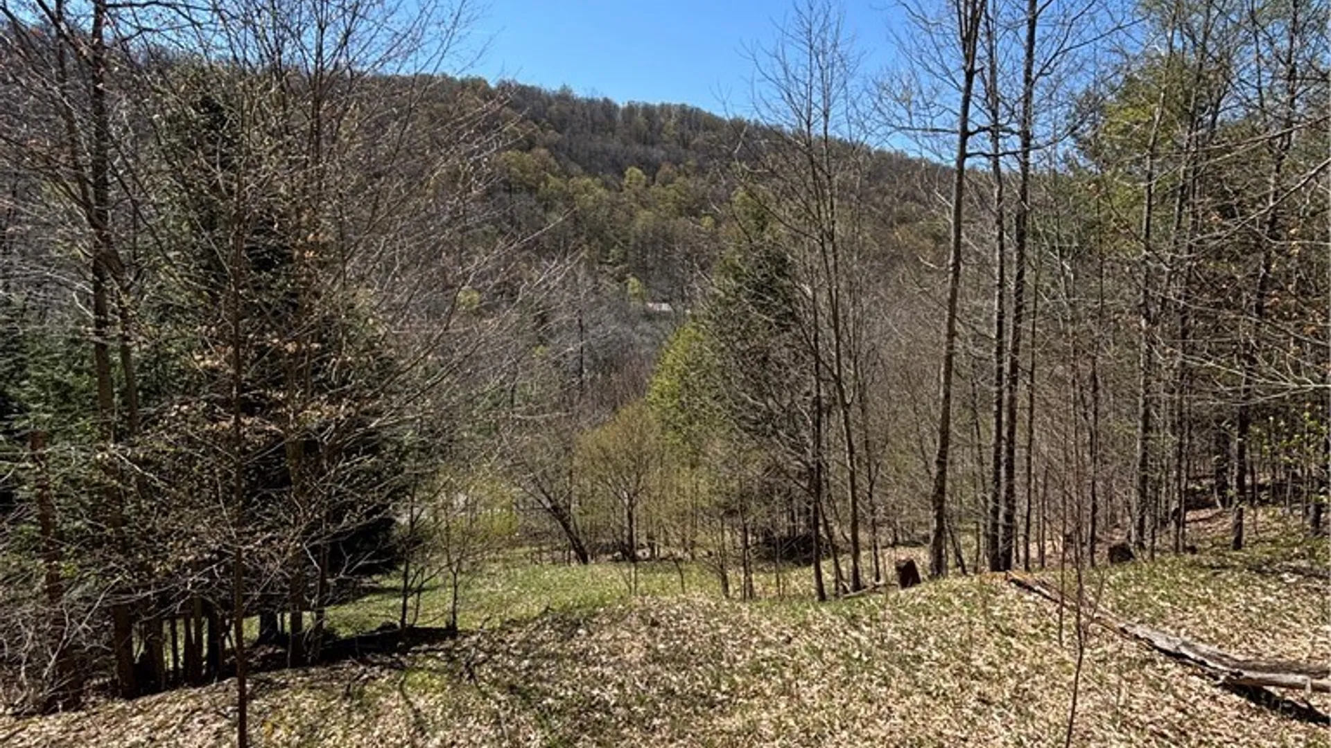 Property at 0 St. Rt. 417, Bolivar, NY 14715 20