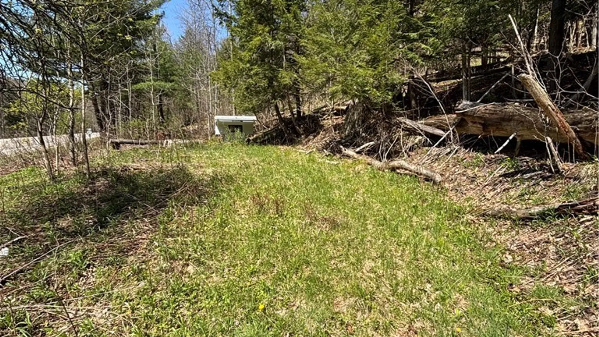 Property at 0 St. Rt. 417, Bolivar, NY 14715 5