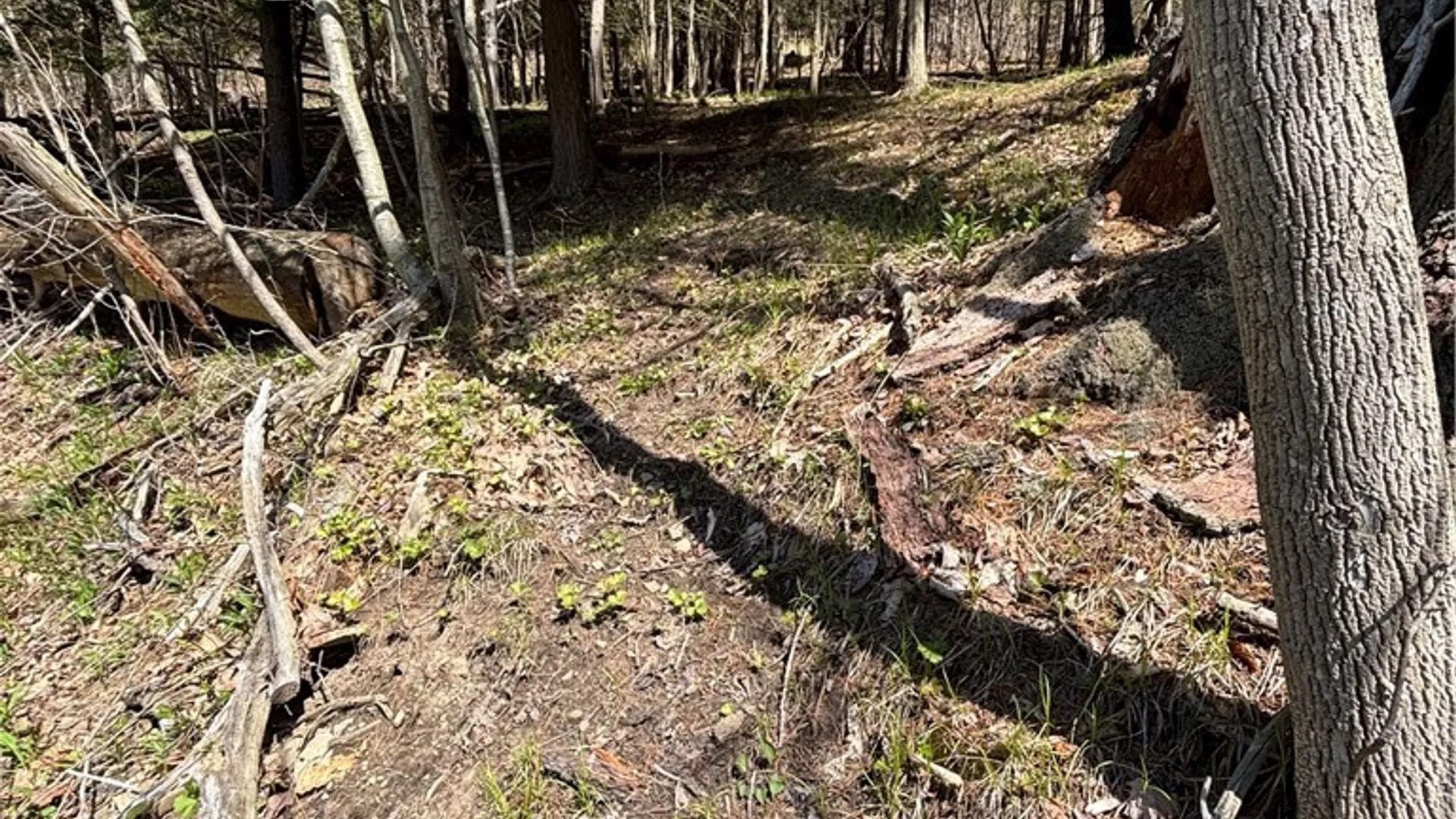 Property at 0 St. Rt. 417, Bolivar, NY 14715 6