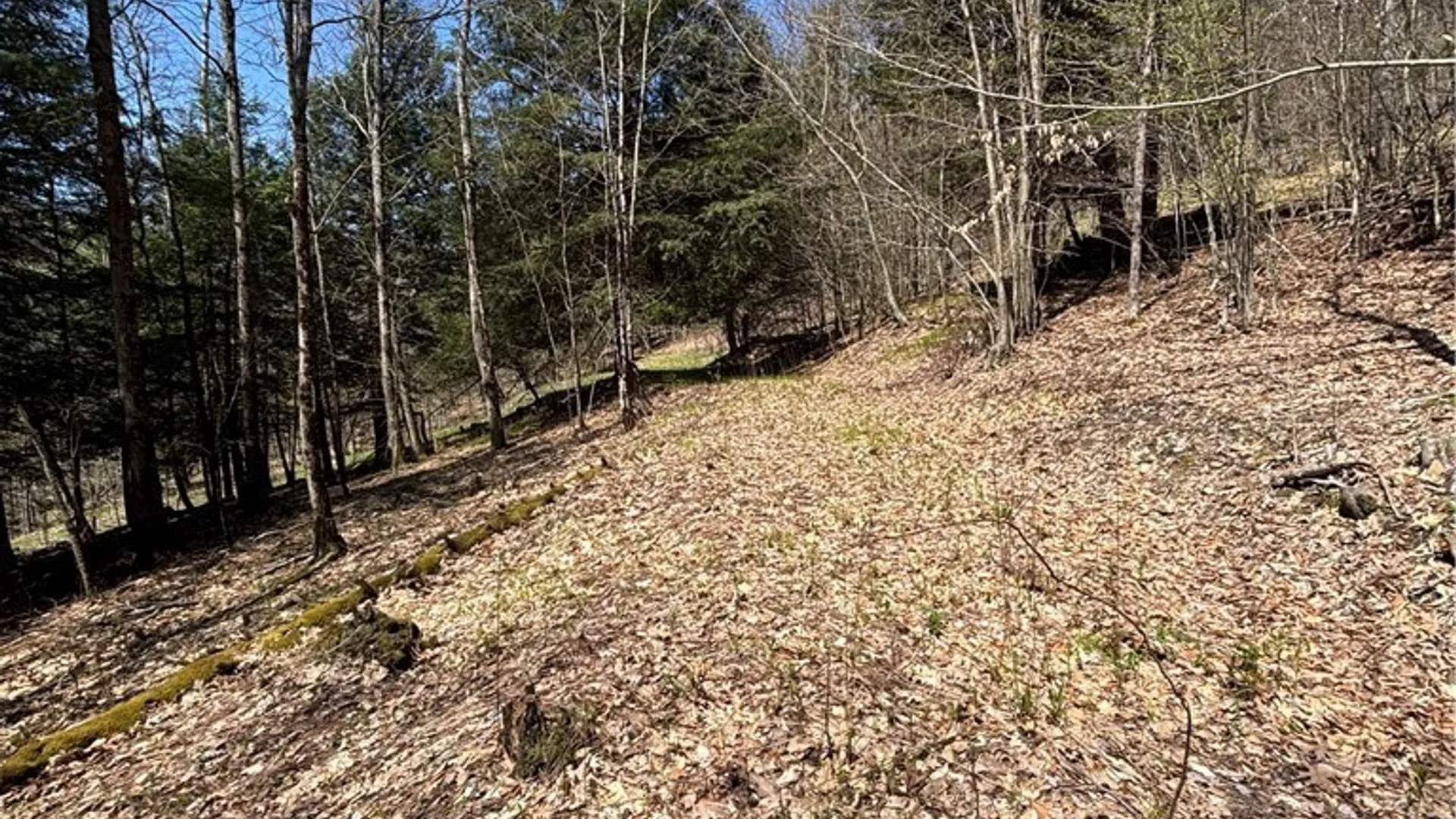 Property at 0 St. Rt. 417, Bolivar, NY 14715 7