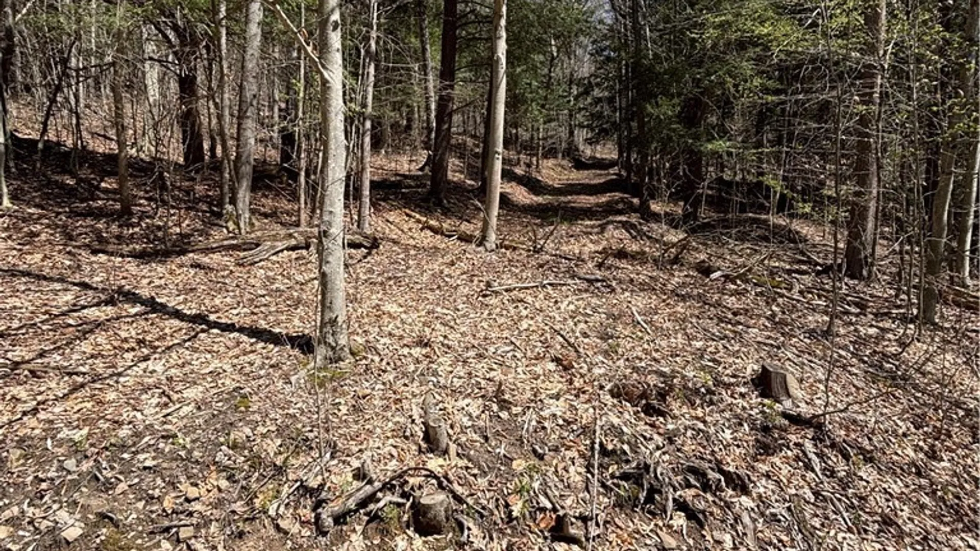 Property at 0 St. Rt. 417, Bolivar, NY 14715 8