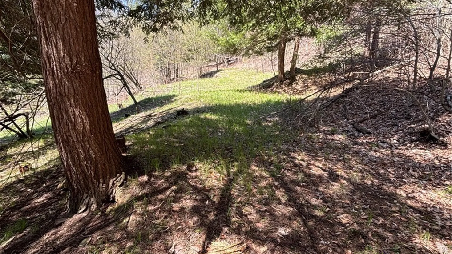 Property at 0 St. Rt. 417, Bolivar, NY 14715 9