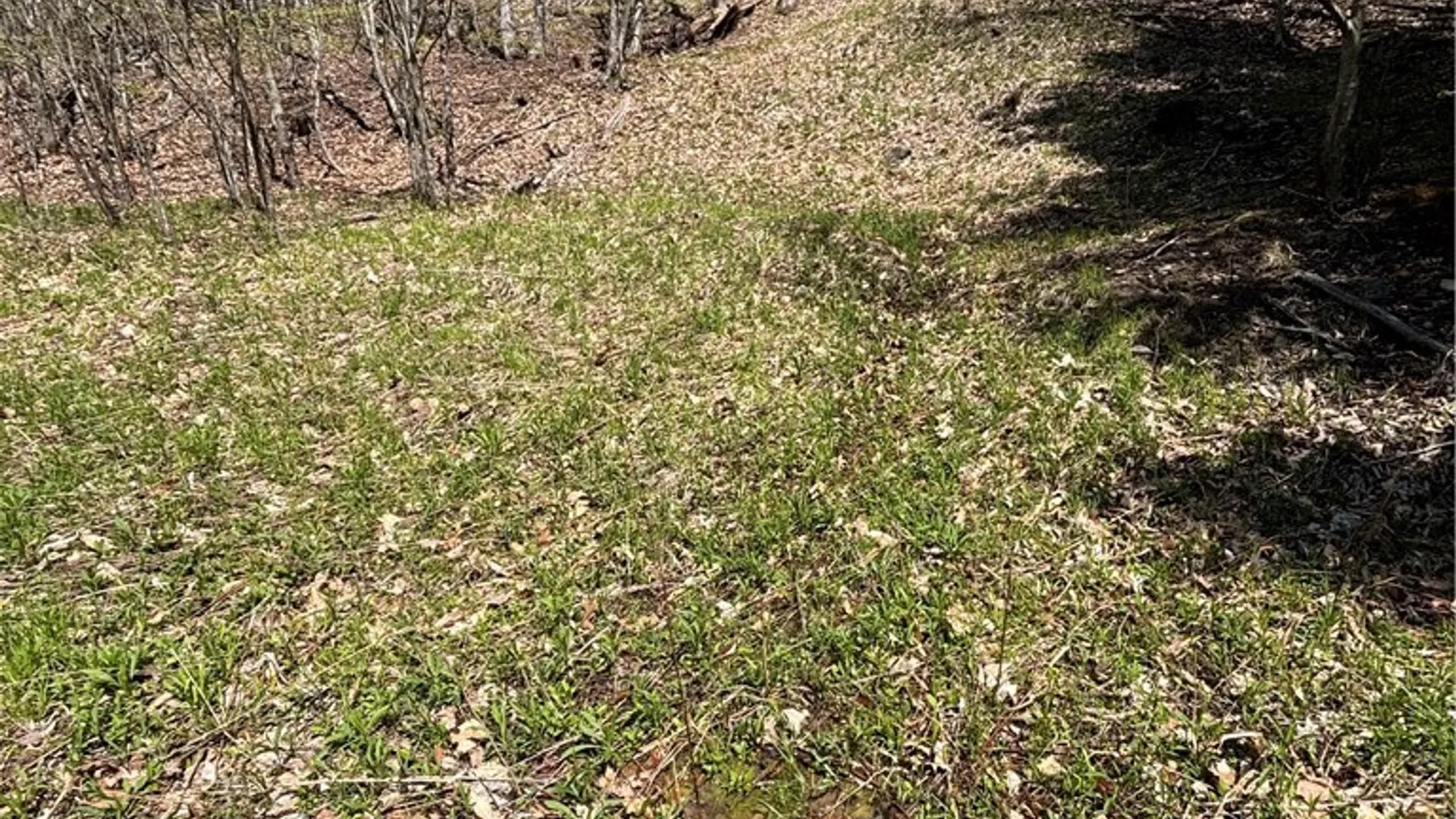 Property at 0 St. Rt. 417, Bolivar, NY 14715 10