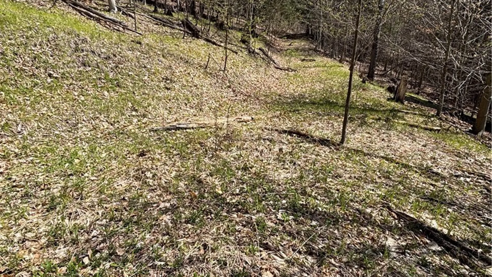 Property at 0 St. Rt. 417, Bolivar, NY 14715 11