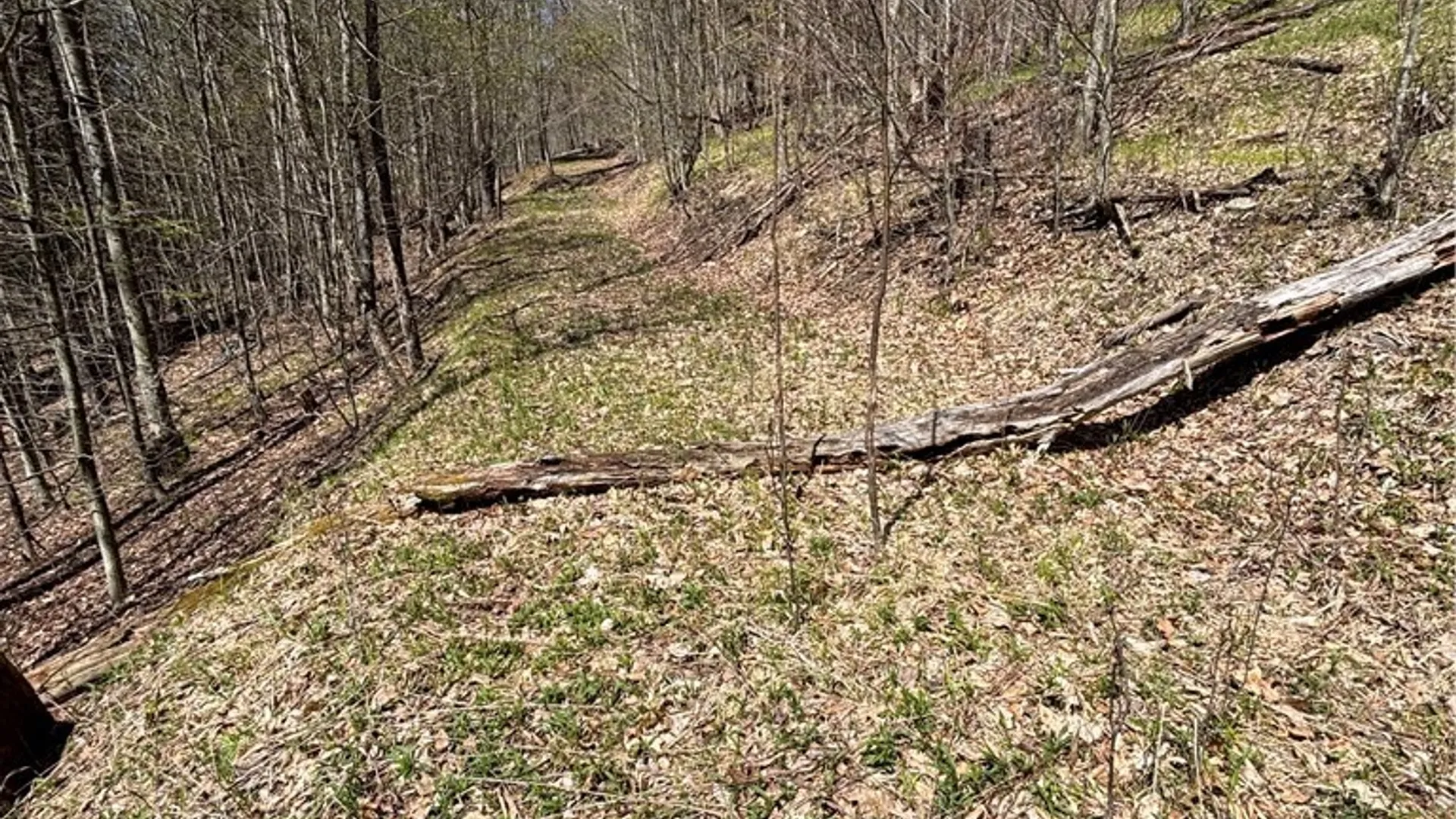 Property at 0 St. Rt. 417, Bolivar, NY 14715 12
