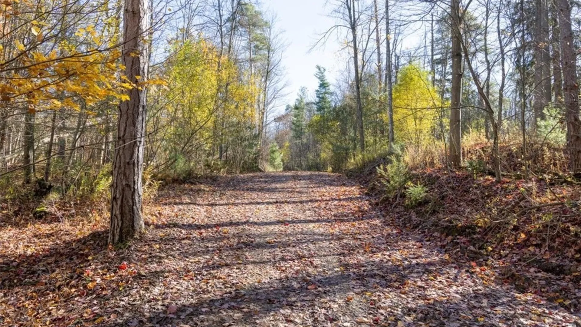 Property at 9881+9937 Larkin Road, Eden, NY 14057 15