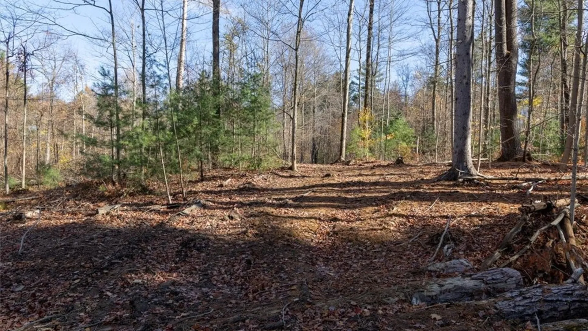 Property at 9881+9937 Larkin Road, Eden, NY 14057 25