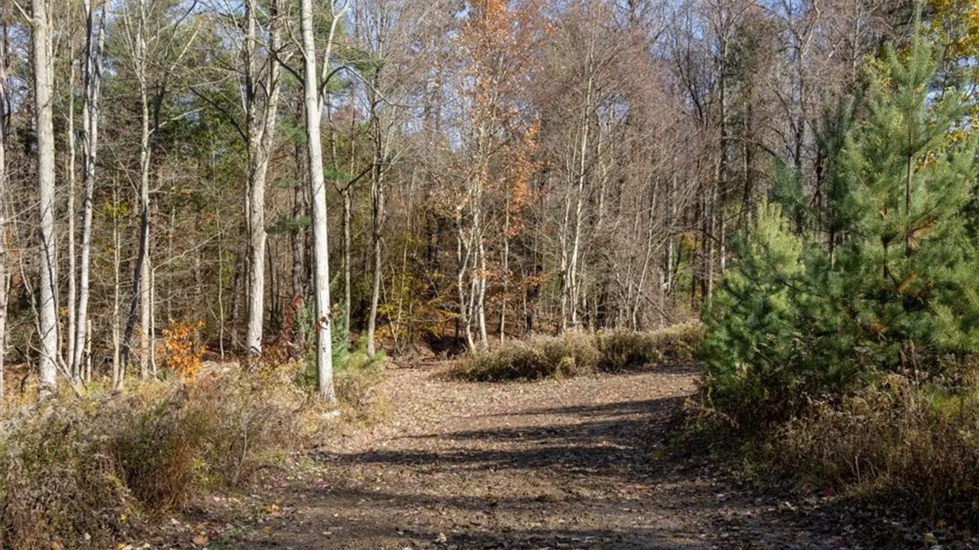 Property at 9881+9937 Larkin Road, Eden, NY 14057 27