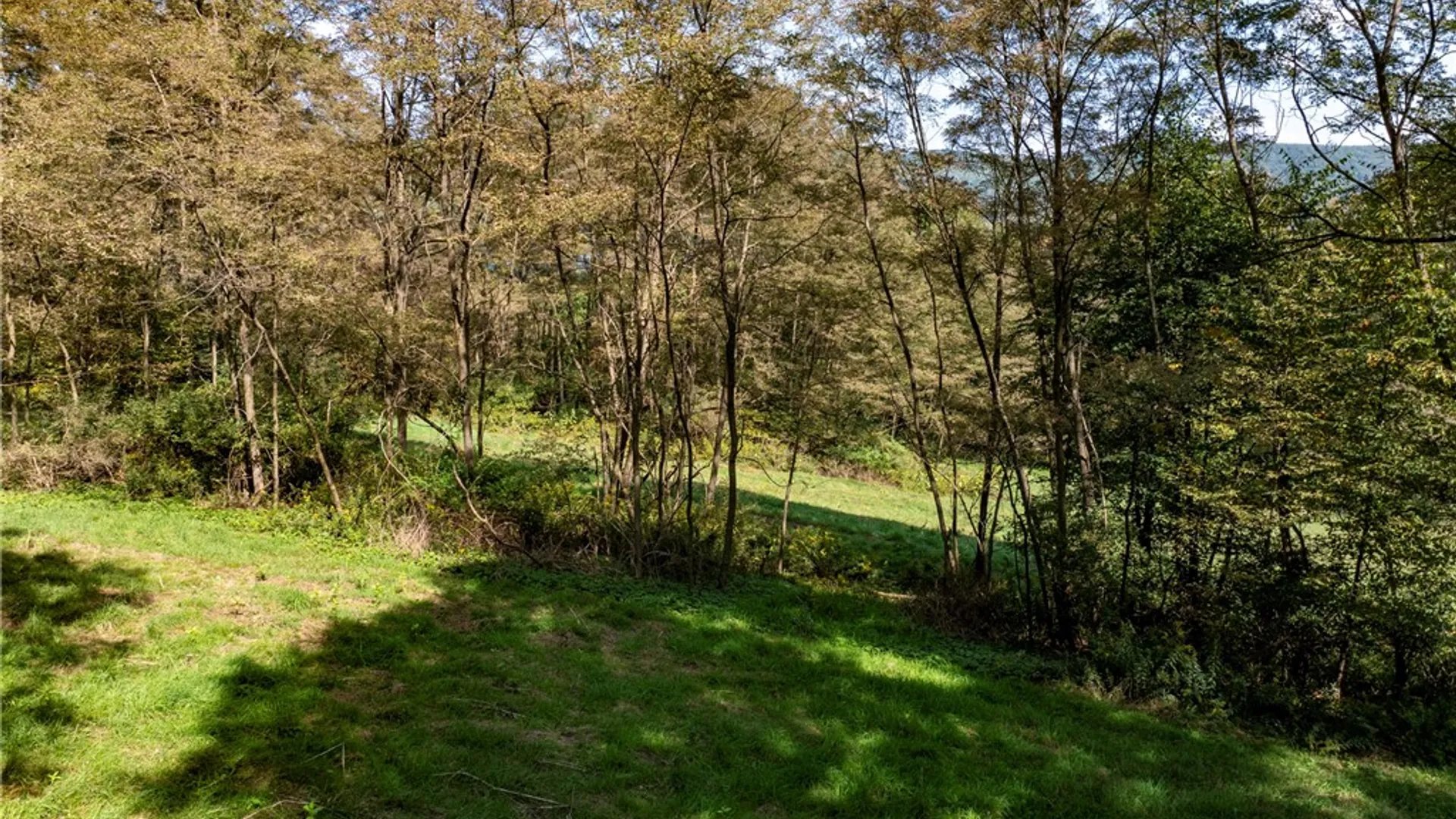 Property at 7960 Rt-415, Avoca, NY 14810 23