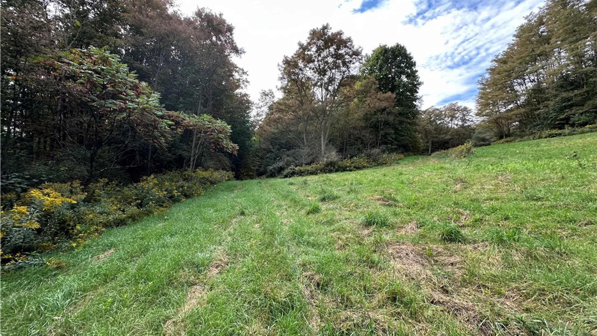 Property at 7960 Rt-415, Avoca, NY 14810 25