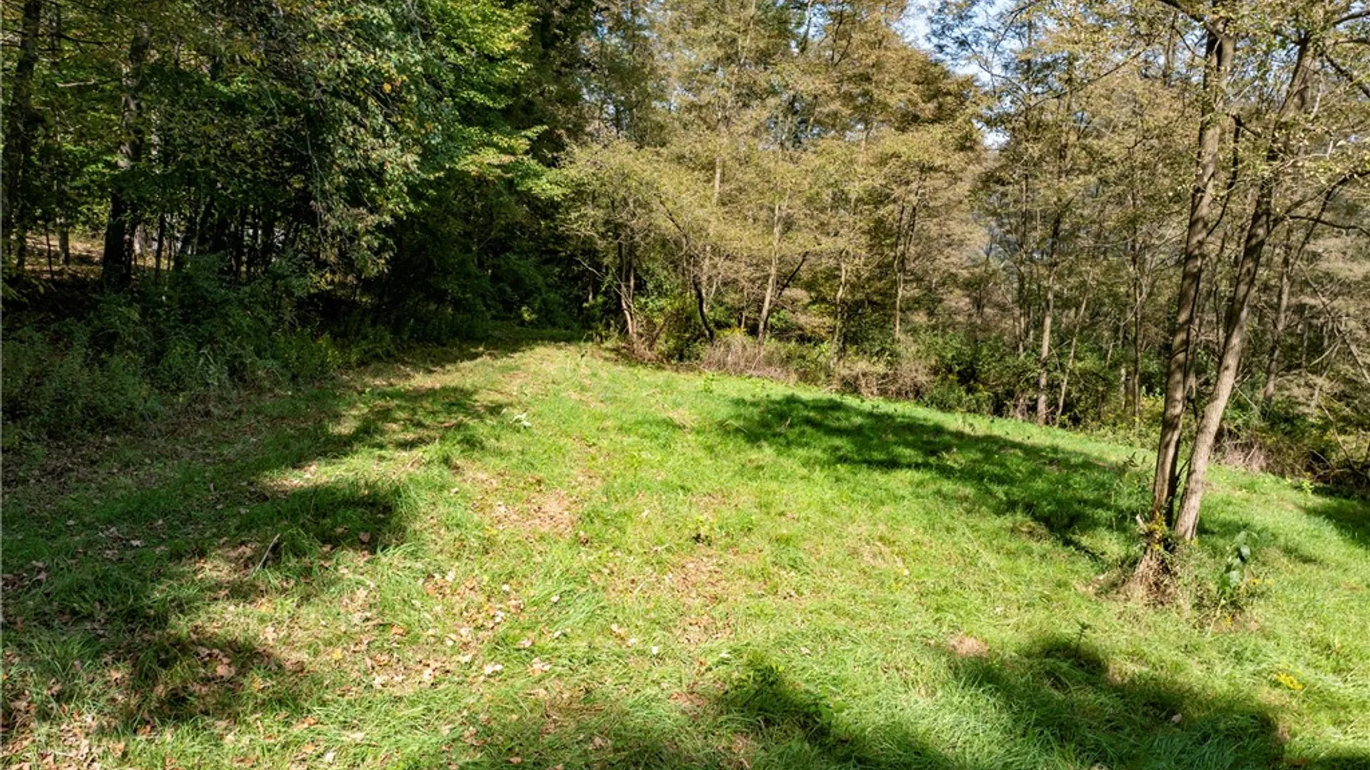 Property at 7960 Rt-415, Avoca, NY 14810 26