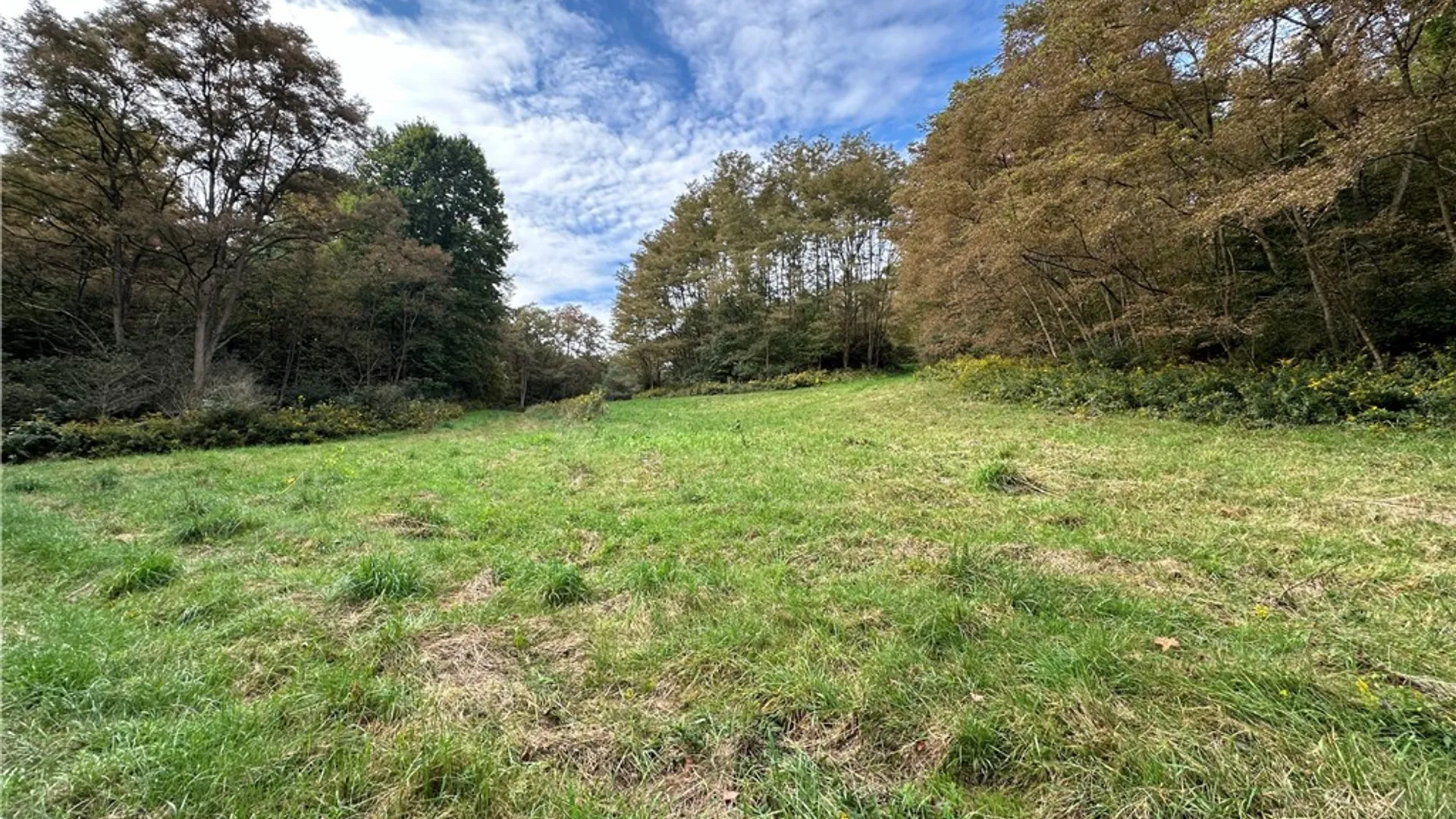 Property at 7960 Rt-415, Avoca, NY 14810 31