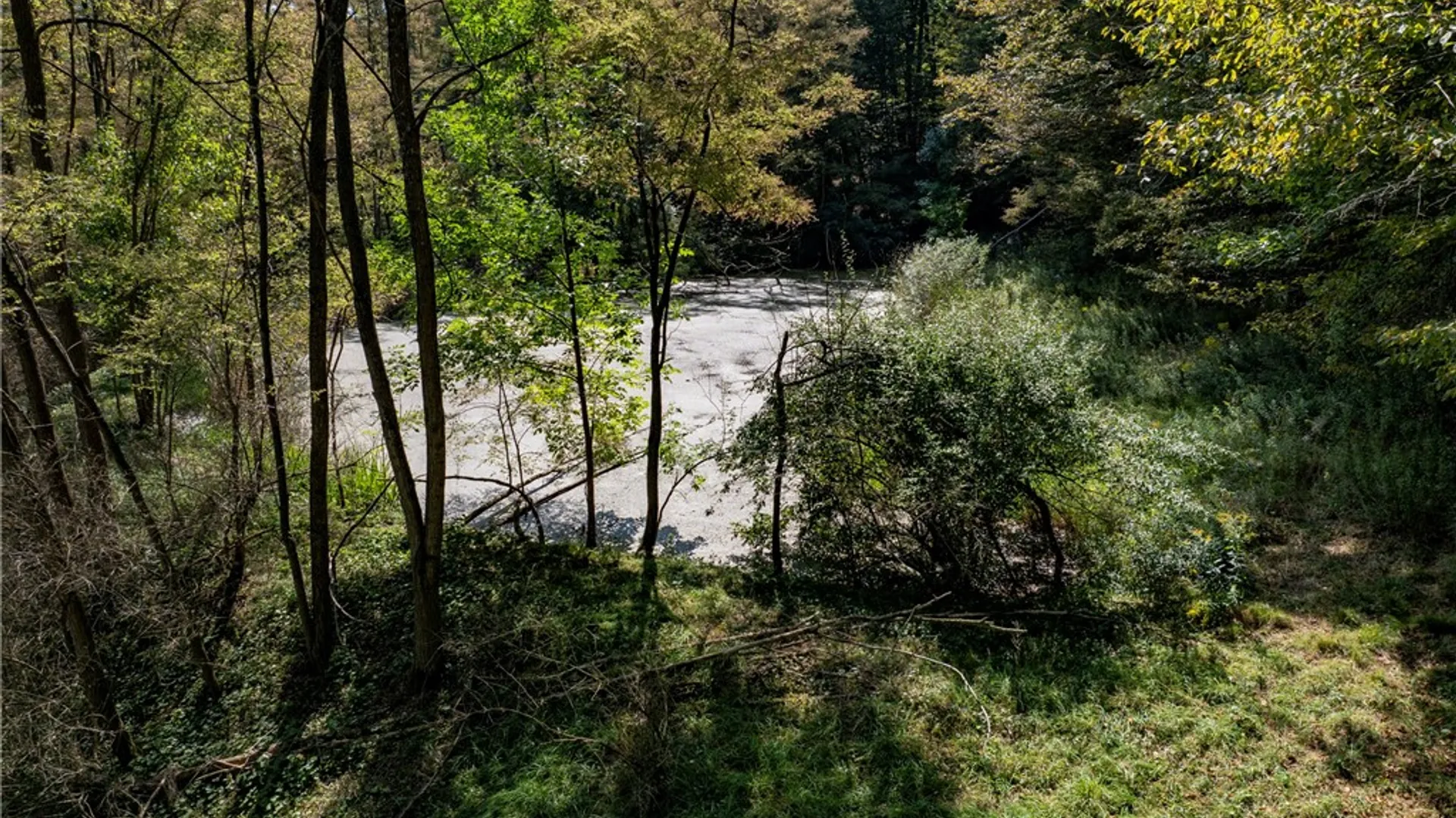 Property at 7960 Rt-415, Avoca, NY 14810 18