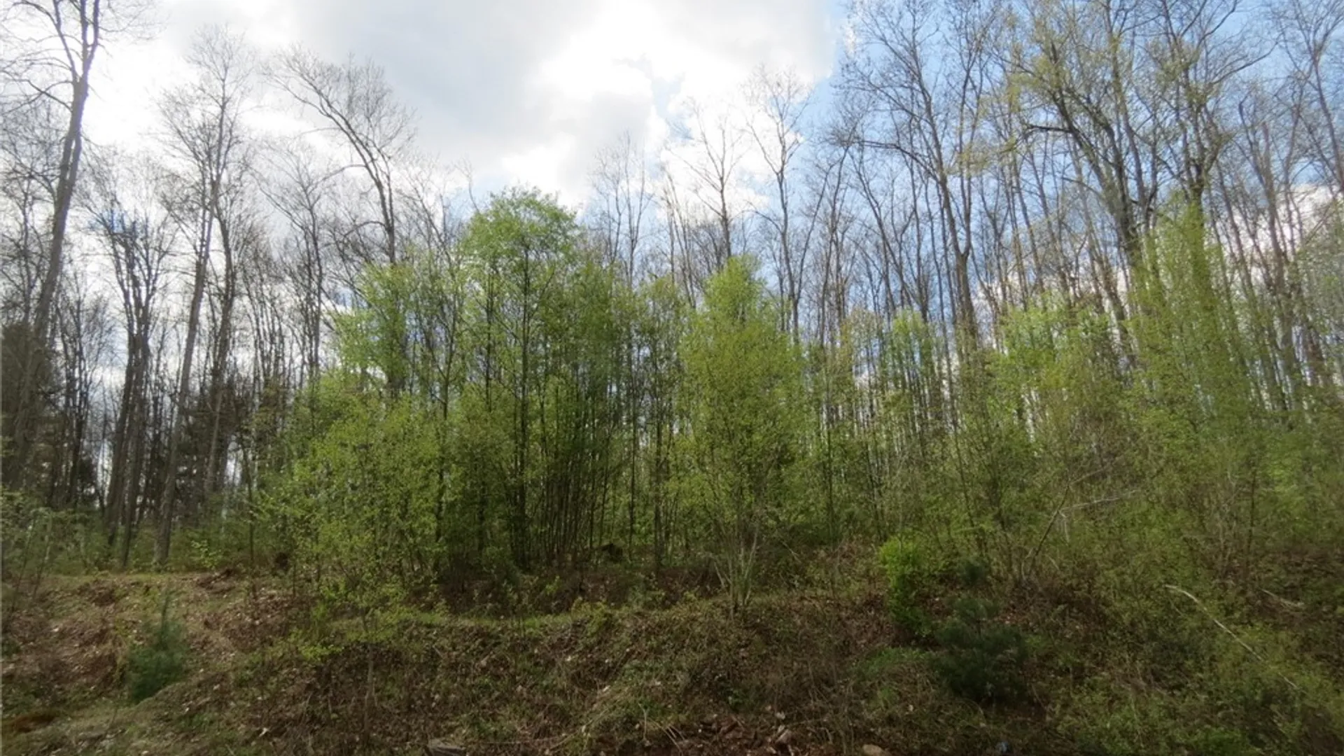 Property at 457 State Highway 8, Guilford, NY 13809 11