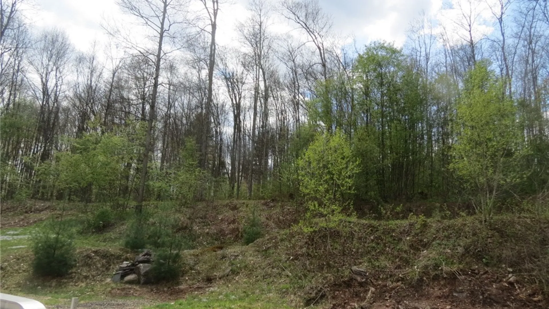Property at 457 State Highway 8, Guilford, NY 13809 12