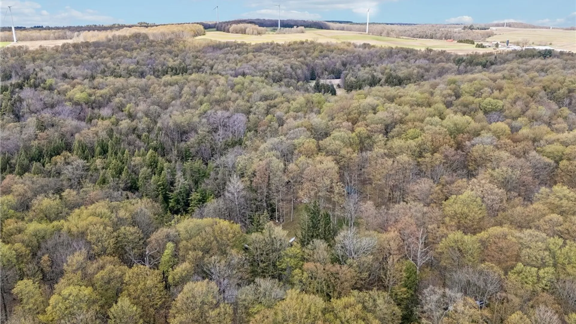 Property at 3890 Weber Road, Orangeville, NY 14569 37