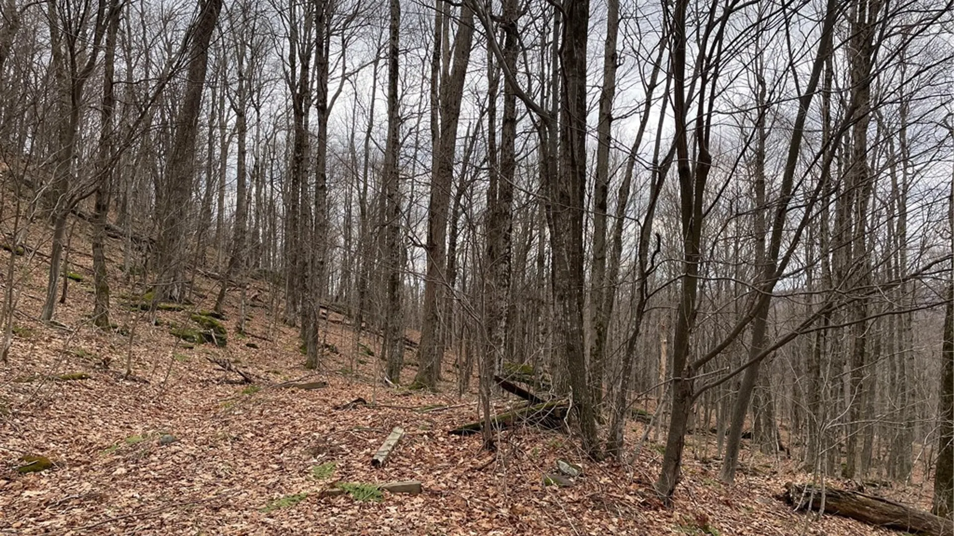 Property at 4-11 West Highland Road, Stamford, NY 12167 4