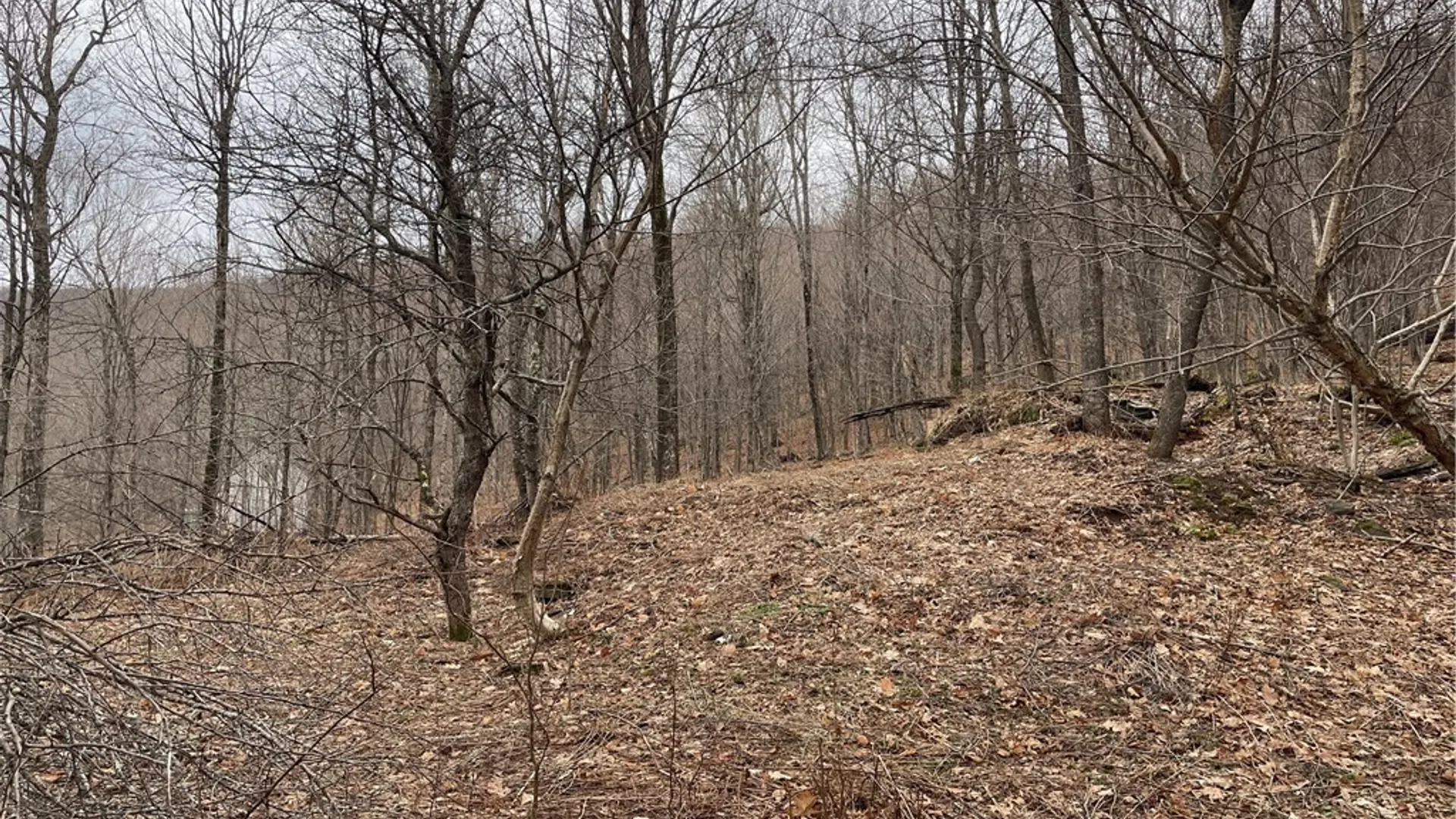 Property at 4-11 West Highland Road, Stamford, NY 12167 5
