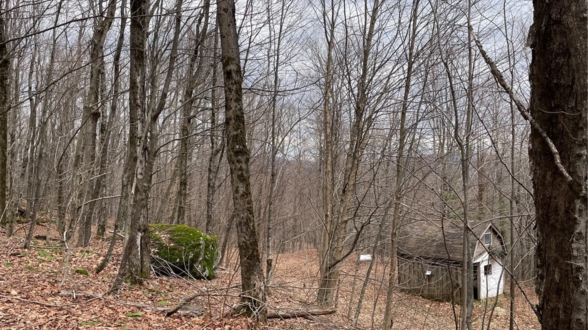 Property at 4-11 West Highland Road, Stamford, NY 12167 7