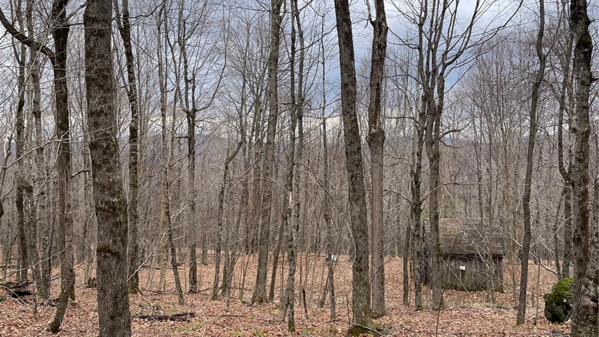Property at 4-11 West Highland Road, Stamford, NY 12167 10