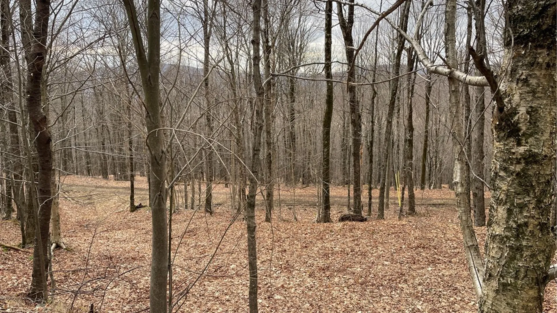 Property at 4-11 West Highland Road, Stamford, NY 12167 11