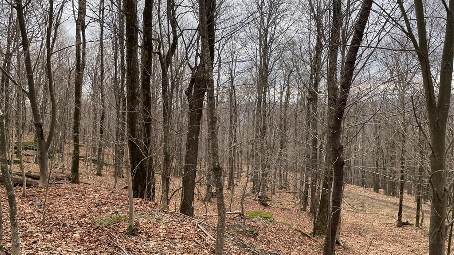 Property at 4-11 West Highland Road, Stamford, NY 12167 12