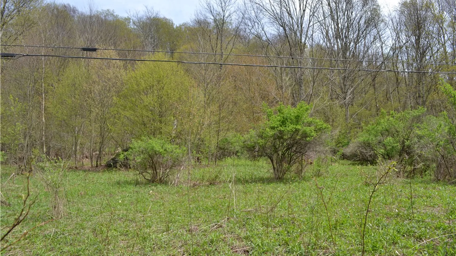 Property at 756 County Highway 21, Walton, NY 13856 31