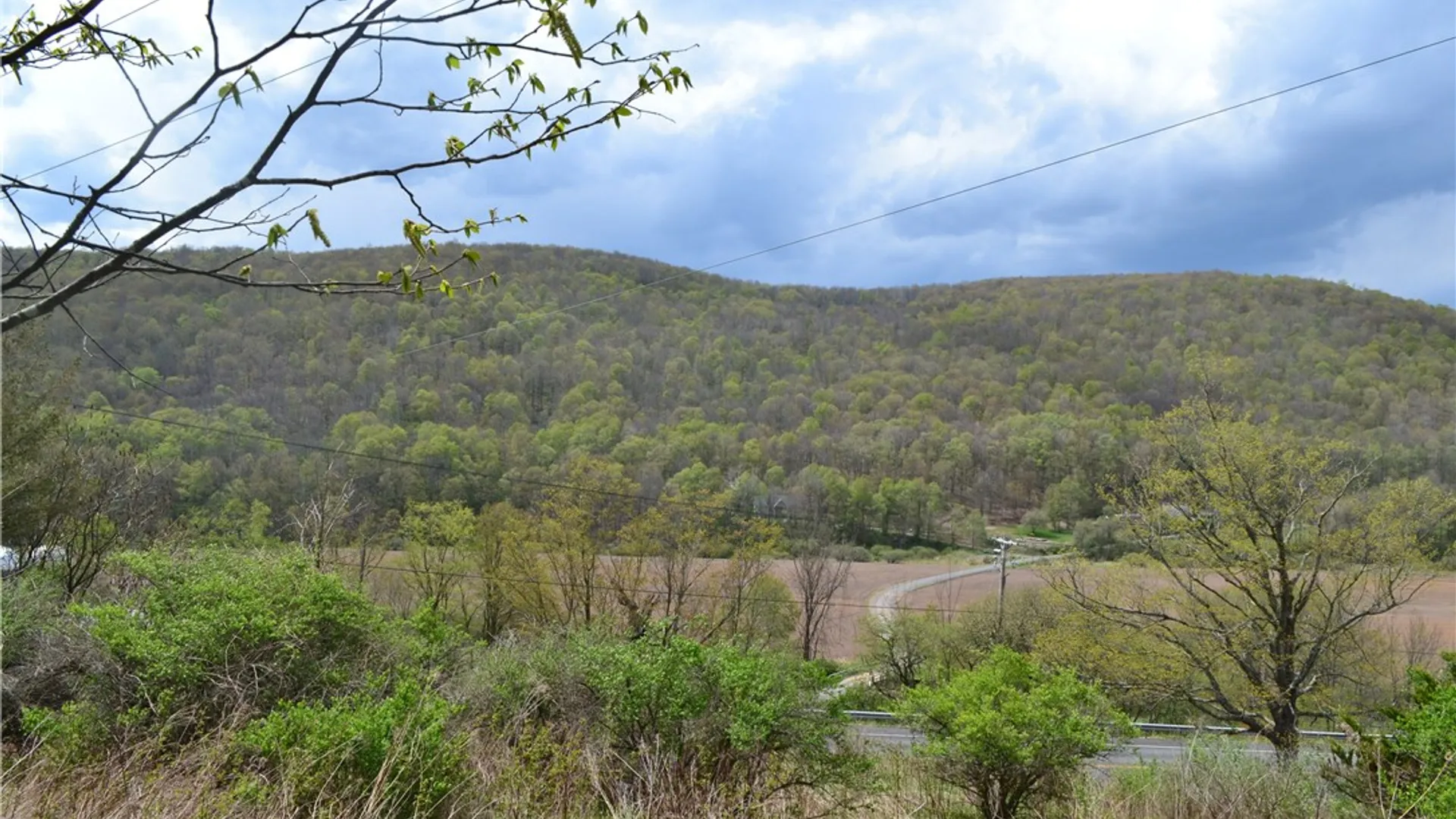 Property at 756 County Highway 21, Walton, NY 13856 33