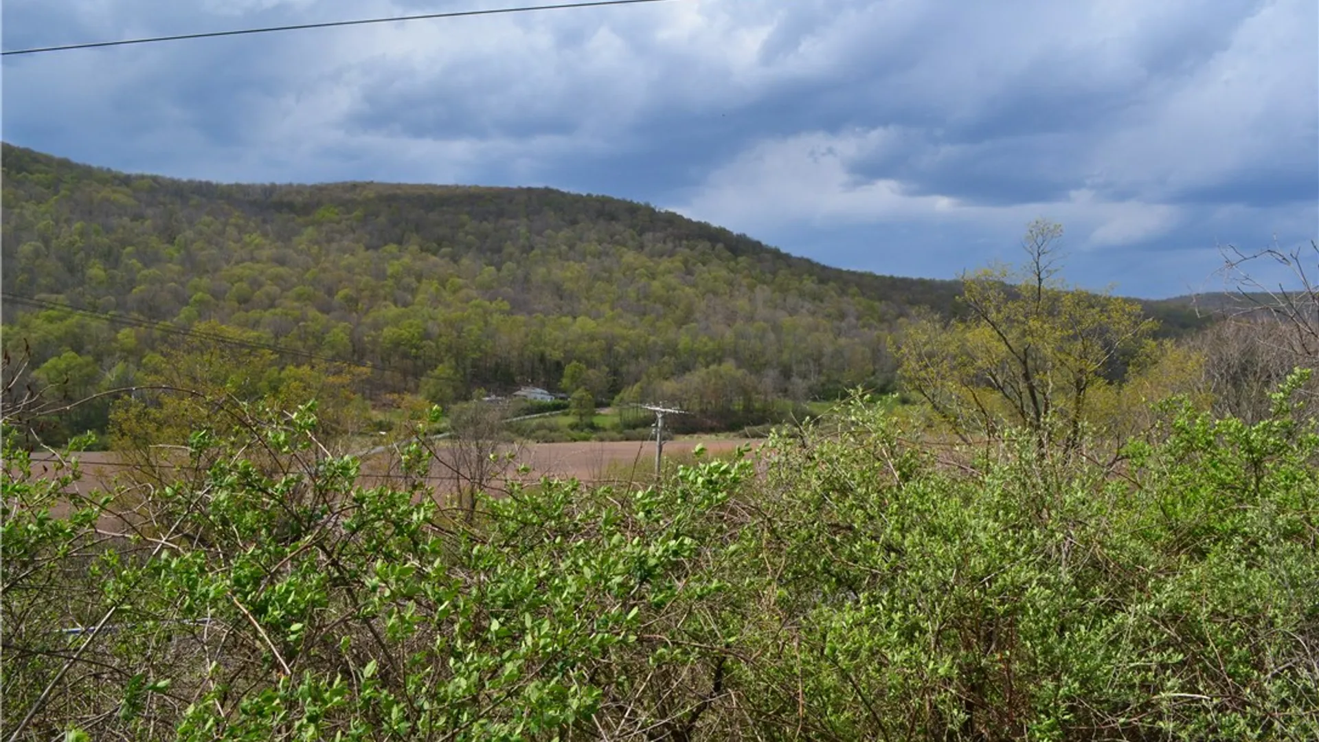 Property at 756 County Highway 21, Walton, NY 13856 34