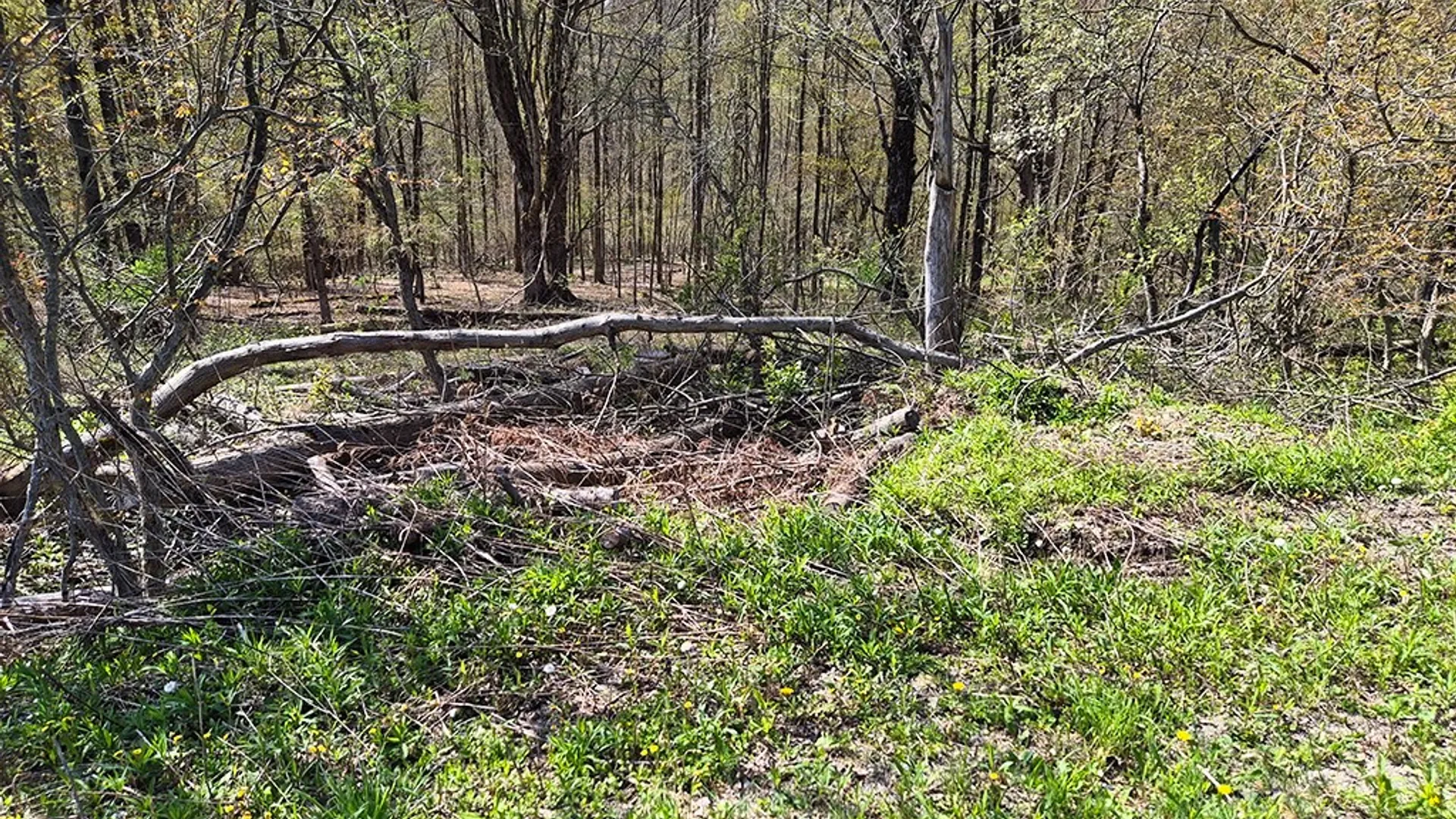 Property at VL Windsor Road, Mansfield, NY 14779 12