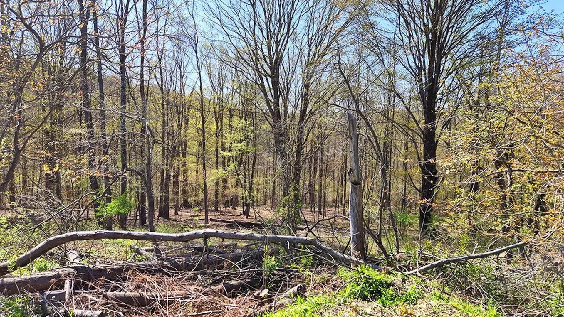 Property at VL Windsor Road, Mansfield, NY 14779 13