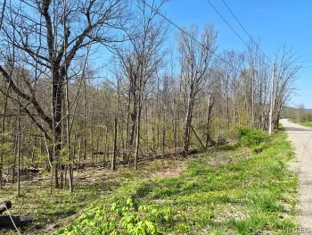 Property at VL Windsor Road, Mansfield, NY 14779