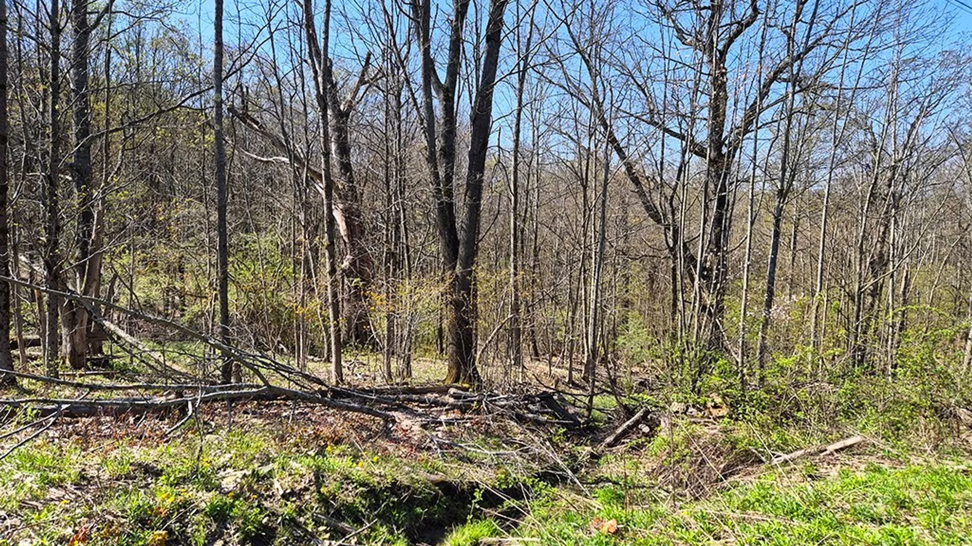 Property at VL Windsor Road, Mansfield, NY 14779 3