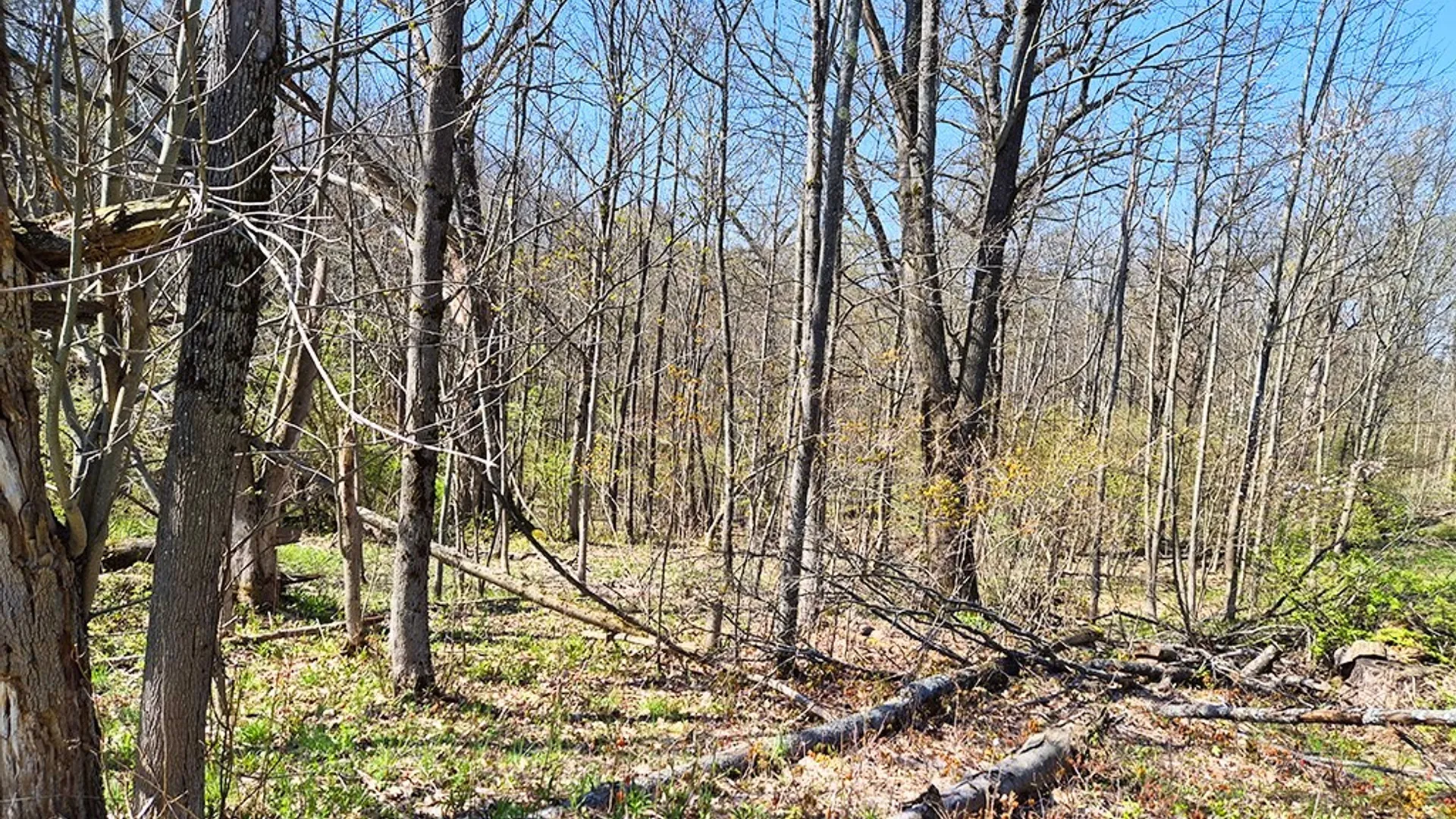 Property at VL Windsor Road, Mansfield, NY 14779 5