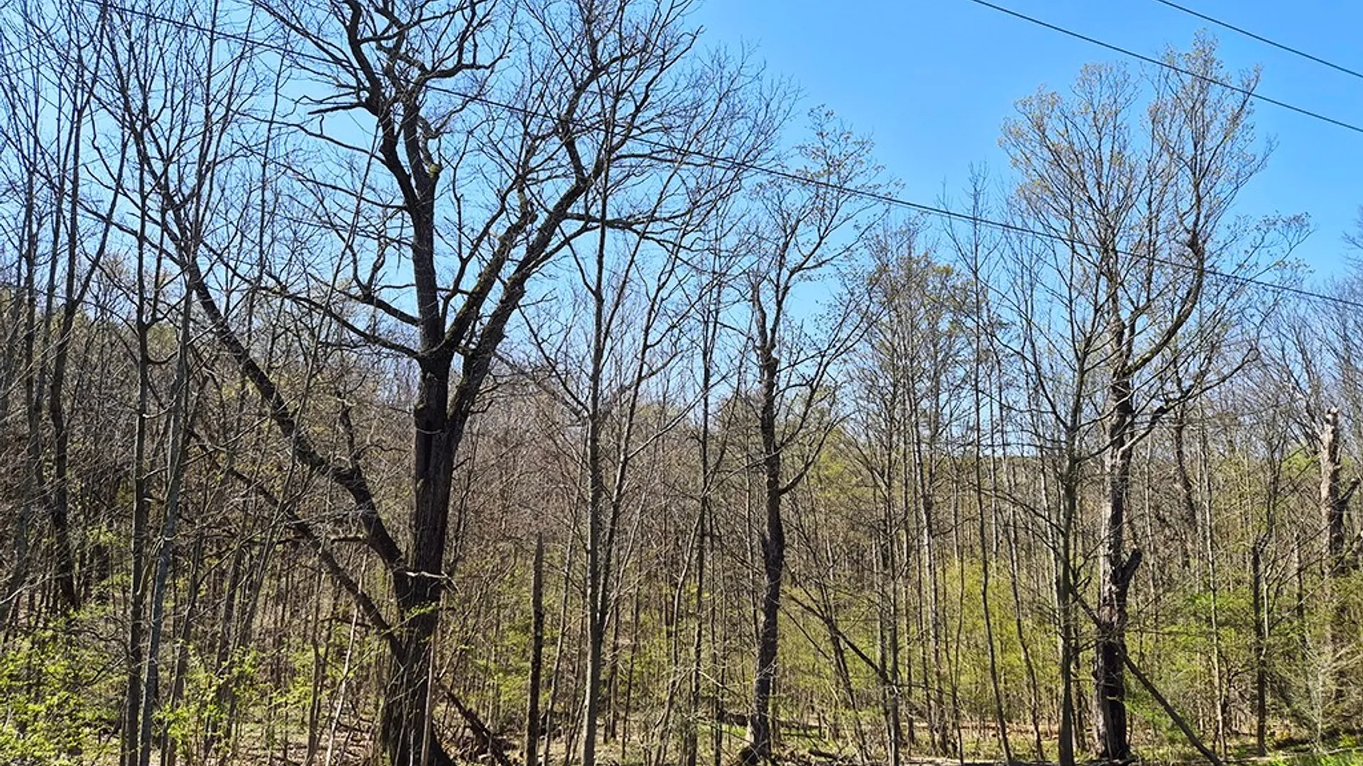 Property at VL Windsor Road, Mansfield, NY 14779 6