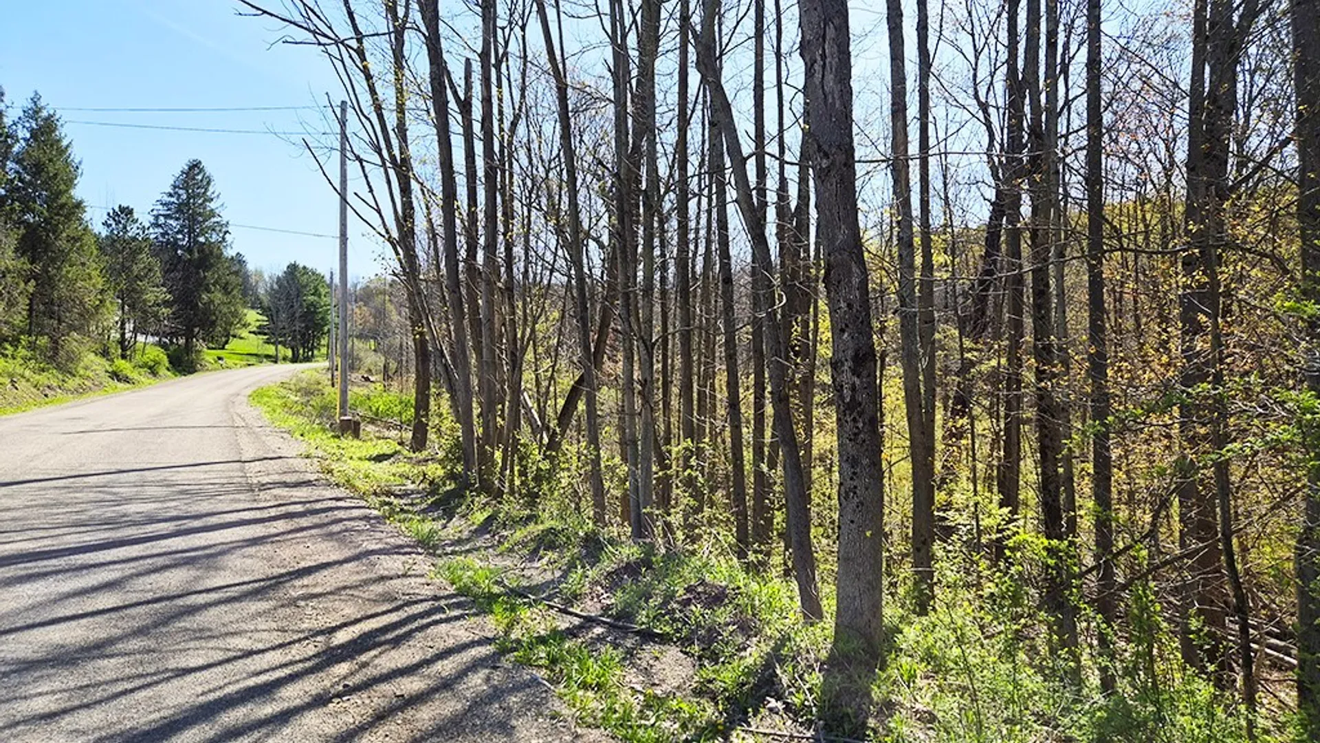 Property at VL Windsor Road, Mansfield, NY 14779 8