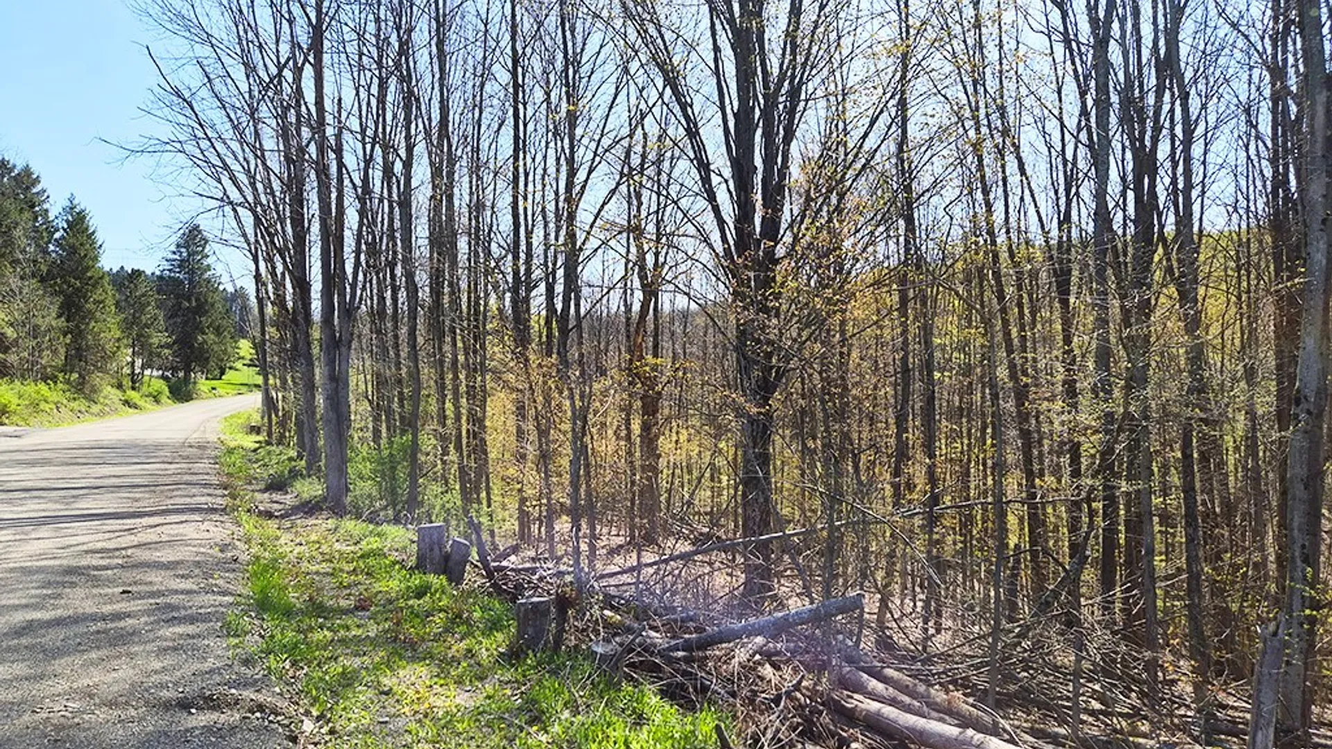 Property at VL Windsor Road, Mansfield, NY 14779 9