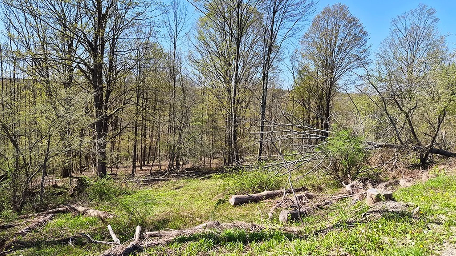 Property at VL Windsor Road, Mansfield, NY 14779 11