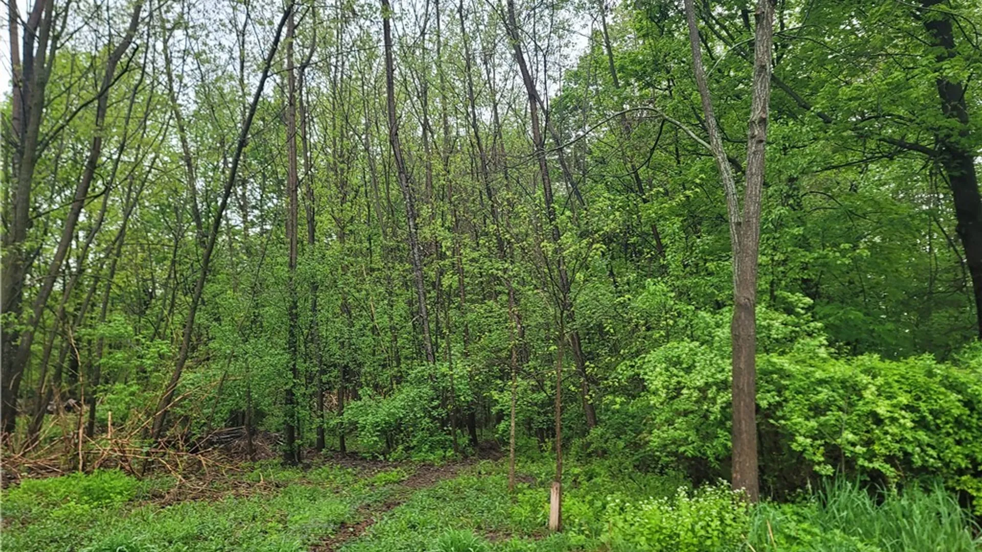 Property at LOT 4R MISTRAL Circle, Clay, NY 13090 17