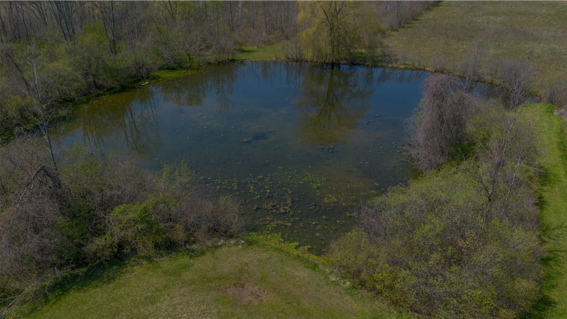 Property at 1500 State Route 414, Tyre, NY 13148 12