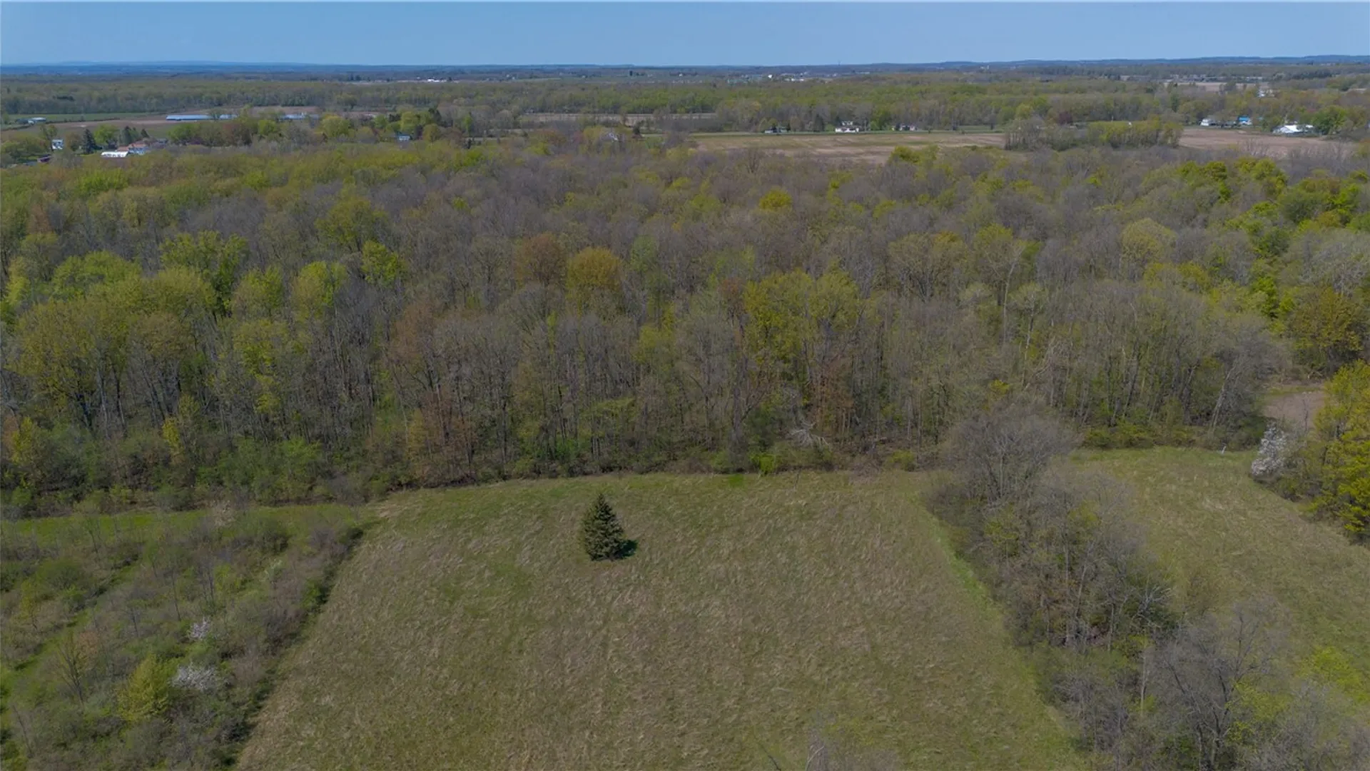 Property at 1500 State Route 414, Tyre, NY 13148 15