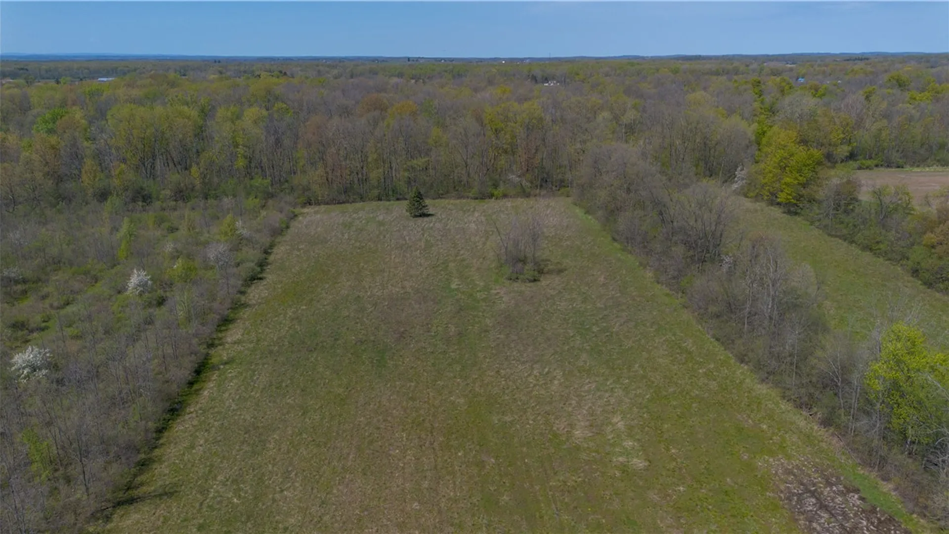 Property at 1500 State Route 414, Tyre, NY 13148 37