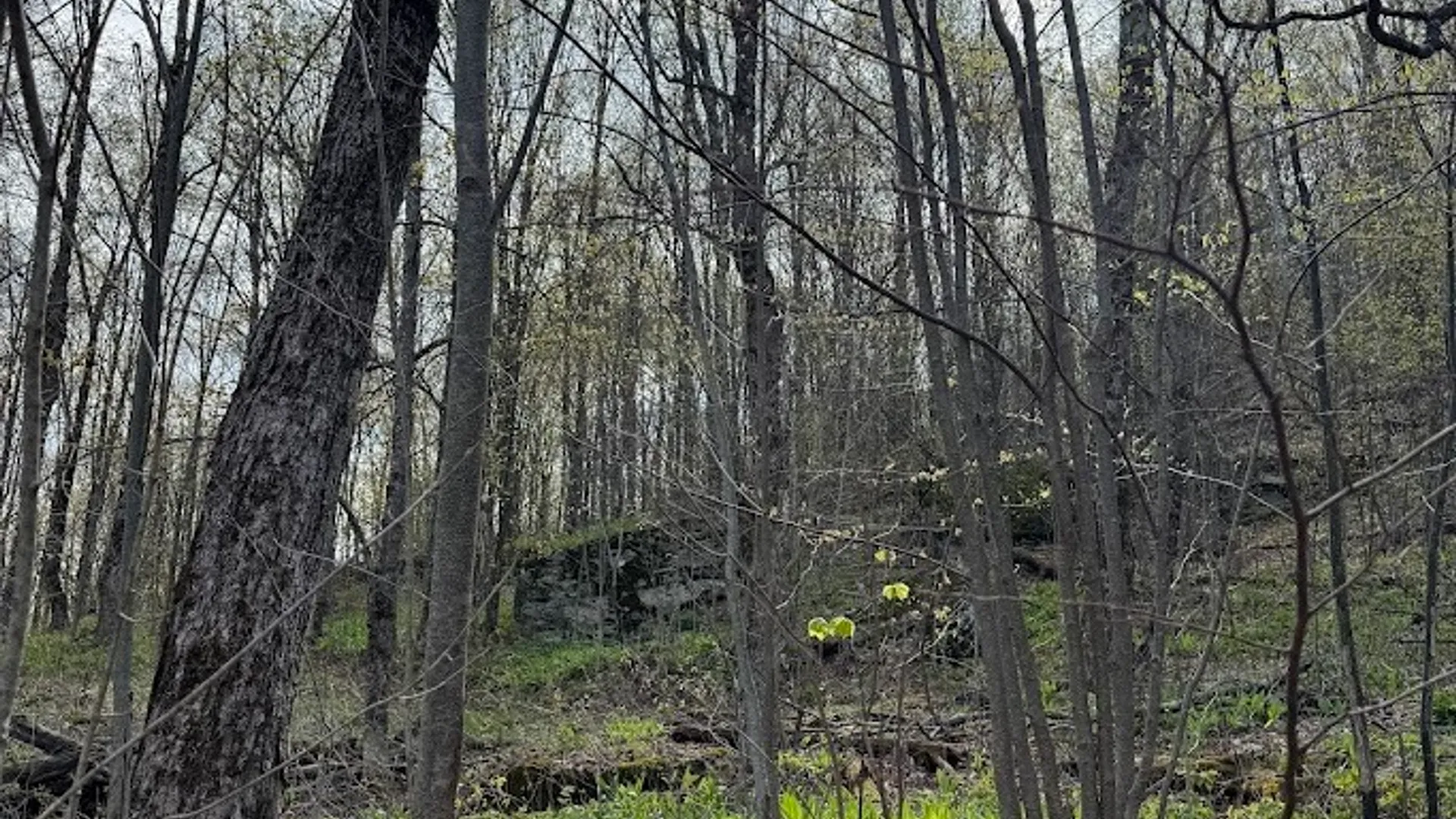 Property at Bramley Mountain Road, Delhi, NY 13753 15