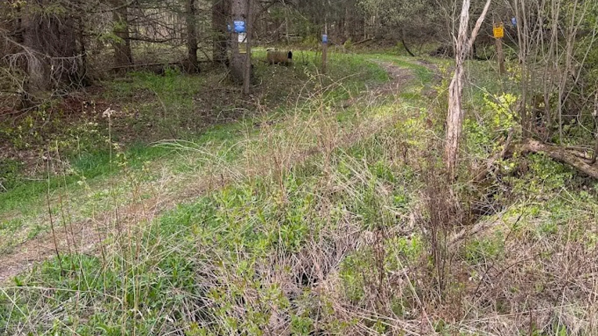 Property at Bramley Mountain Road, Delhi, NY 13753 3