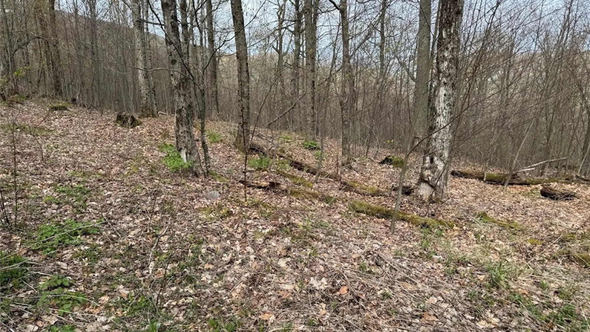 Property at Bramley Mountain Road, Delhi, NY 13753 5